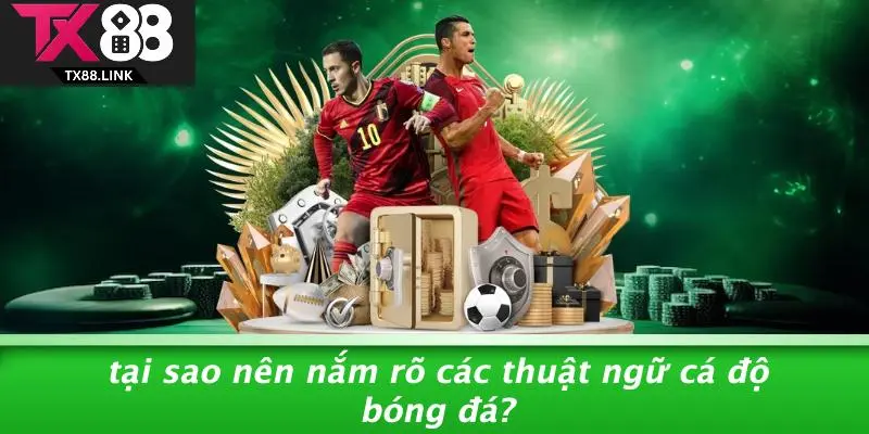 Tại Sao Nên Nắm Rõ Các Thuật Ngữ Cá Độ Bóng Đá?